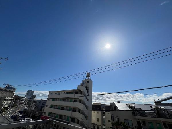 ランドウッド