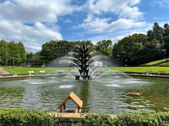 レジディア三宿(世田谷区立世田谷公園)