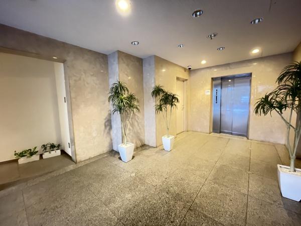 レピドール福田I