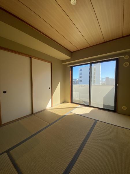 レピドール福田I