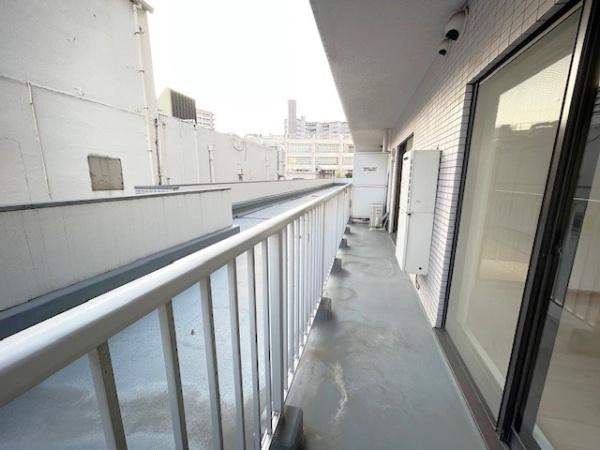 レピドール福田I