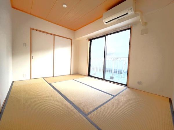 レピドール福田I