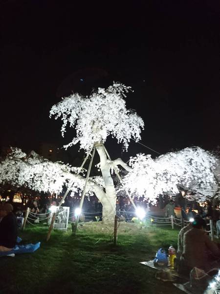 草野ビル(錦糸公園)