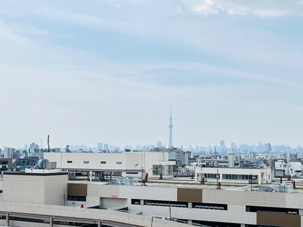 ザ・レジデンス東京イーストレジデンスⅠ