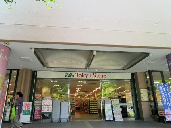フェニックス鷺沼(東急ストア宮前平店)
