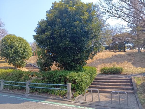 メゾンモンテベルデ(あざみ野東公園)