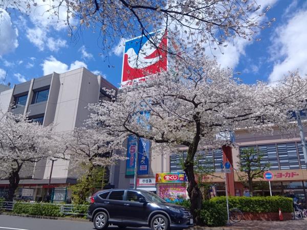 横浜市青葉区美しが丘1丁目のマンション(イトーヨーカドーたまプラーザ店)