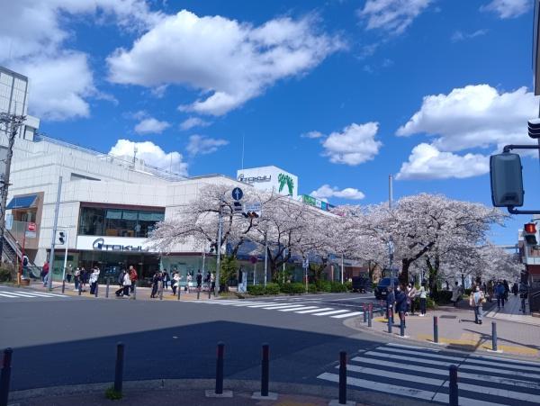 横浜市青葉区美しが丘1丁目のマンション(たまプラーザテラスサウスプラザ)