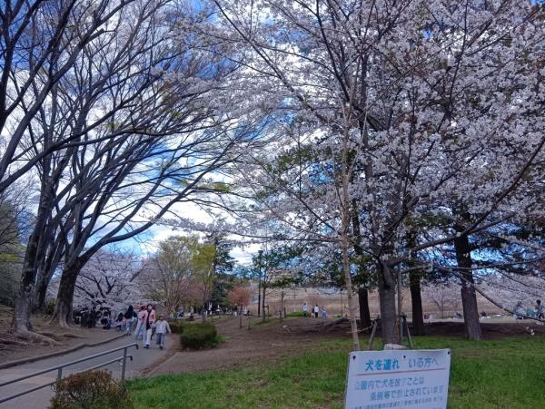 横浜市青葉区美しが丘1丁目のマンション(美しが丘公園)
