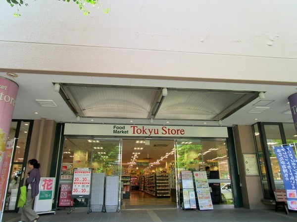 東急鷺沼スカイドエリングＢ棟(東急ストア宮前平店)