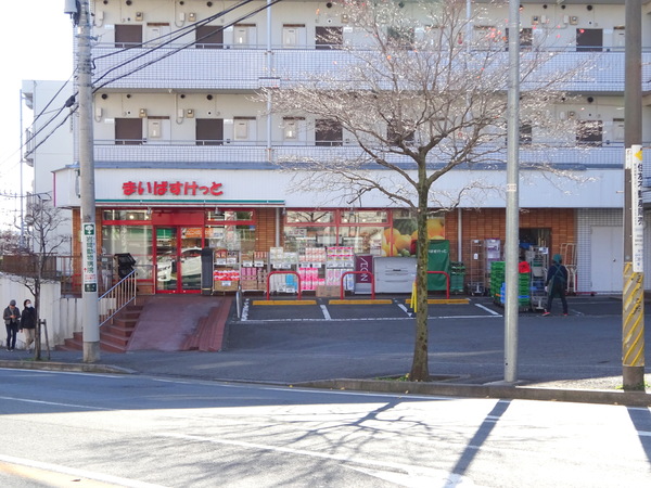 東急鷺沼スカイドエリングＢ棟(まいばすけっと鷺沼3丁目店)