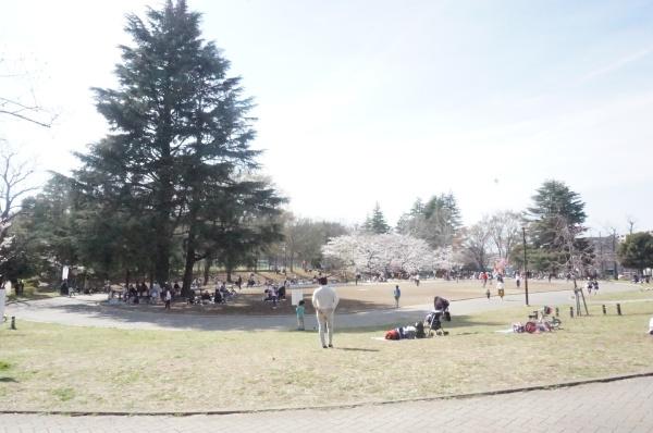 東急鷺沼スカイドエリングＢ棟(美しが丘公園)