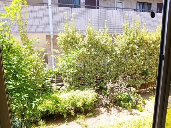 横浜市青葉区新石川２丁目の貸家