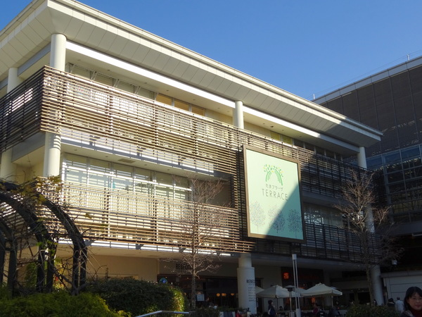 たまプラーザ　新石川3丁目マンション　田園ドミール(たまプラーザテラスサウスプラザ)