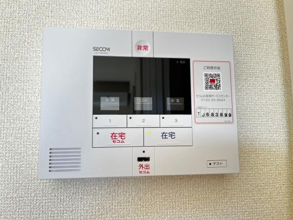 コットン　フローラ