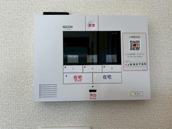コットン　フローラ