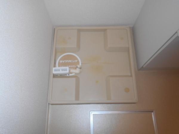 楽園