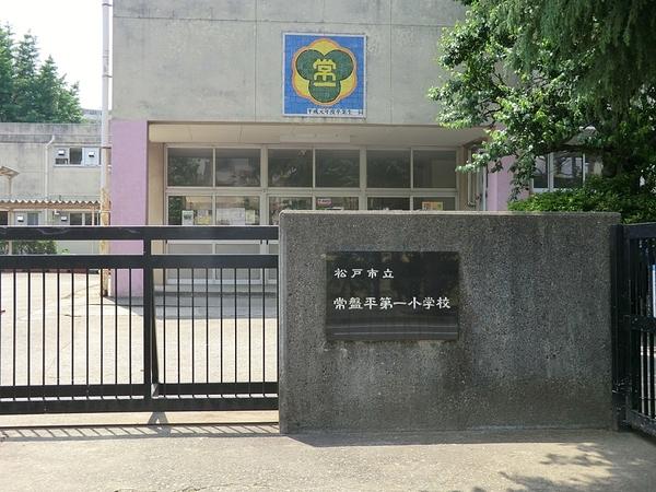 コスメアヒル(松戸市立常盤平第一小学校)