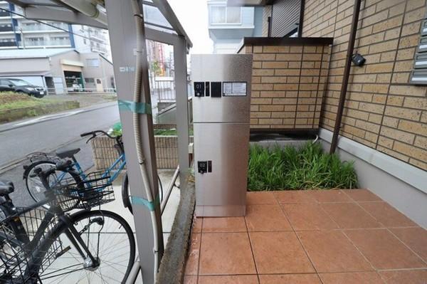 ヴィラ　コットン