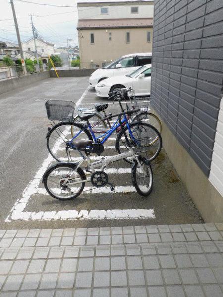 ホワイトルミエール