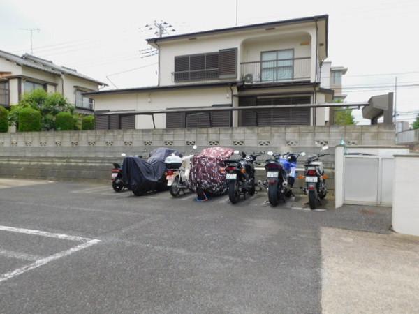 ホワイトルミエール