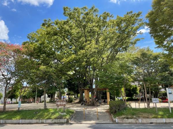 流山市南流山８丁目のマンション(南流山5号公園)