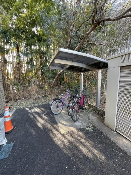 グリーンテリア第10