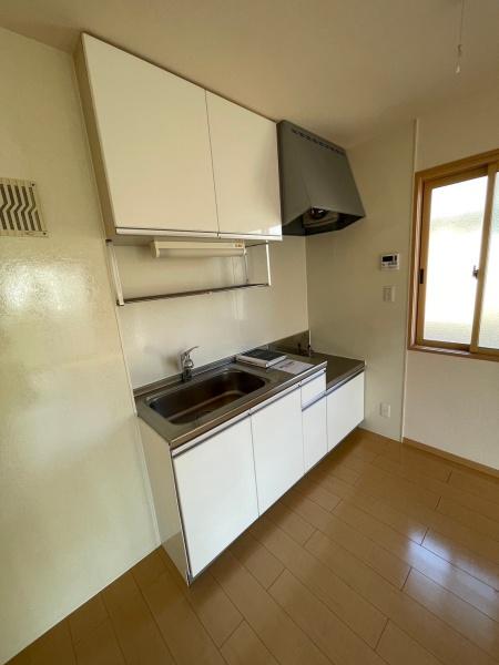 グリーンテリア第10