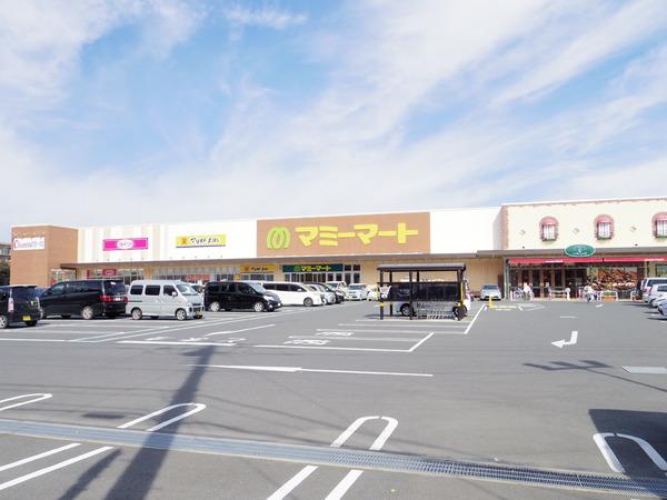 グリーンヒルB(マミーマート松戸新田店)
