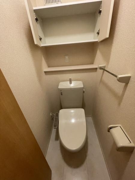 ステラC