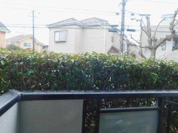 サンガーデン八柱A