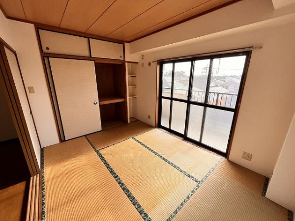 パインツリーコート