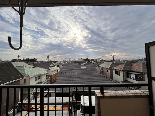 パインツリーコート