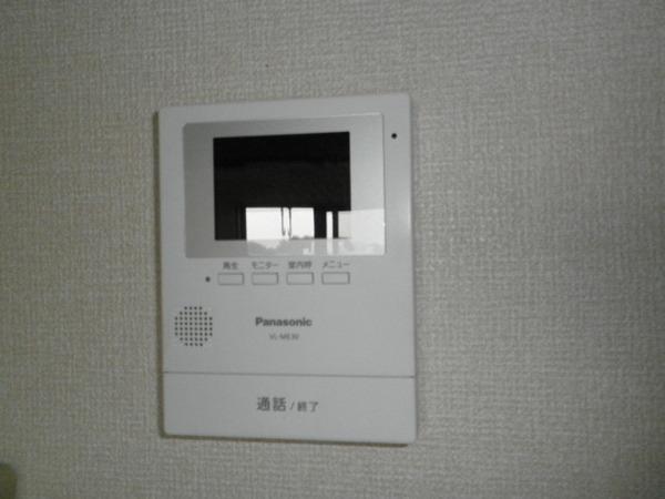 パインツリーコート