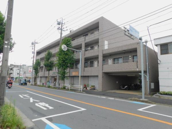 パインツリーコート