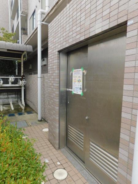 パインツリーコート