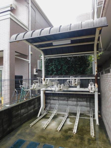 パインツリーコート