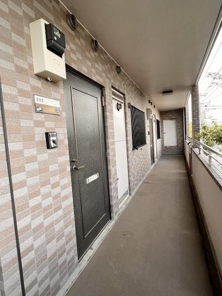 パインツリーコート