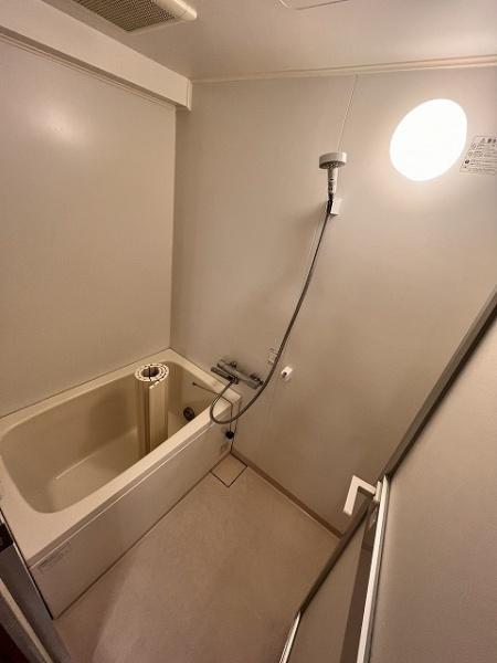 パインツリーコート