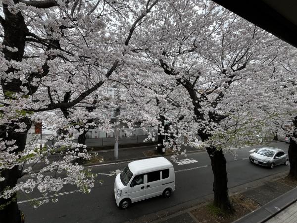 ブライトンヒル