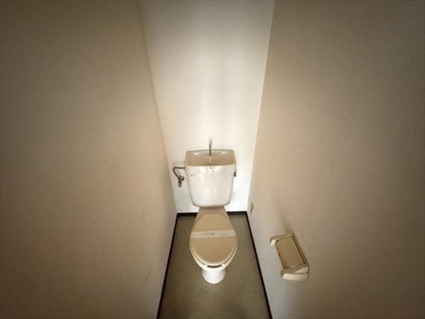 ニューシティセブン