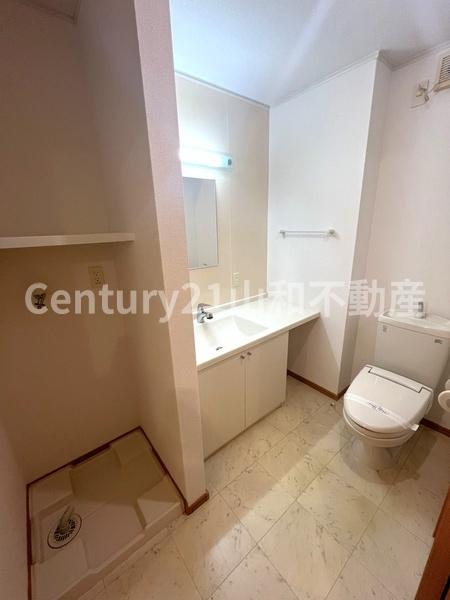 メゾン・ラピュ-タ(洗面台・洗面所)