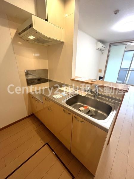 メゾン・ラピュ-タ(キッチン)