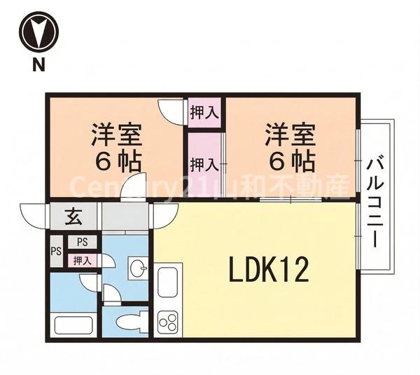 白樫