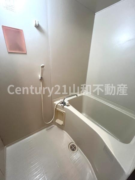 白樫