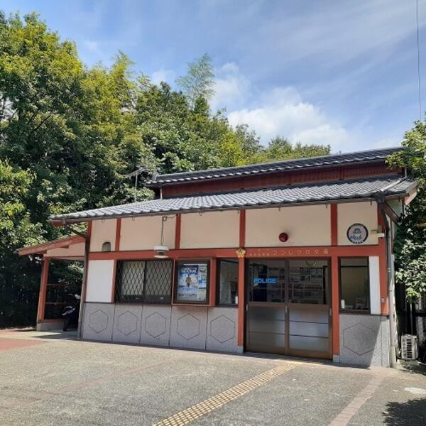 ベルデーア