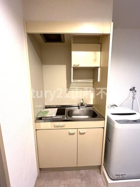 BVツインホース