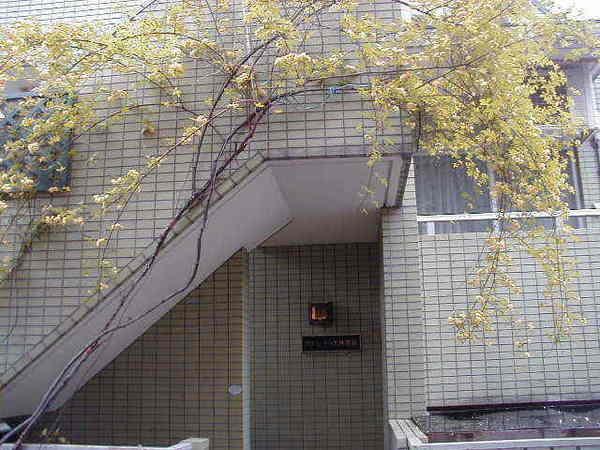 グリーンテラス神楽坂