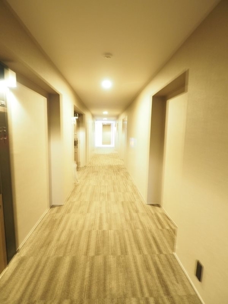 文京区関口１丁目のマンション