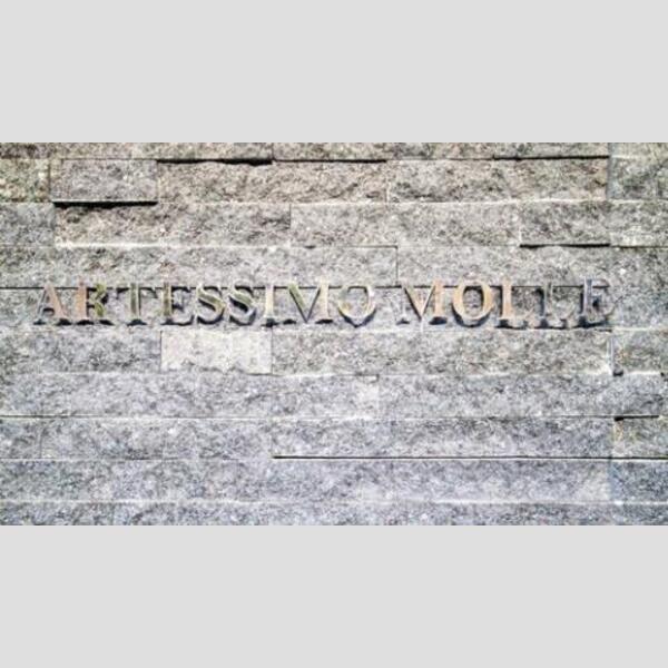 ARTESSIMOMOLLE
